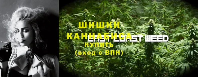 где можно купить   Гуково  Бошки Шишки VHQ 